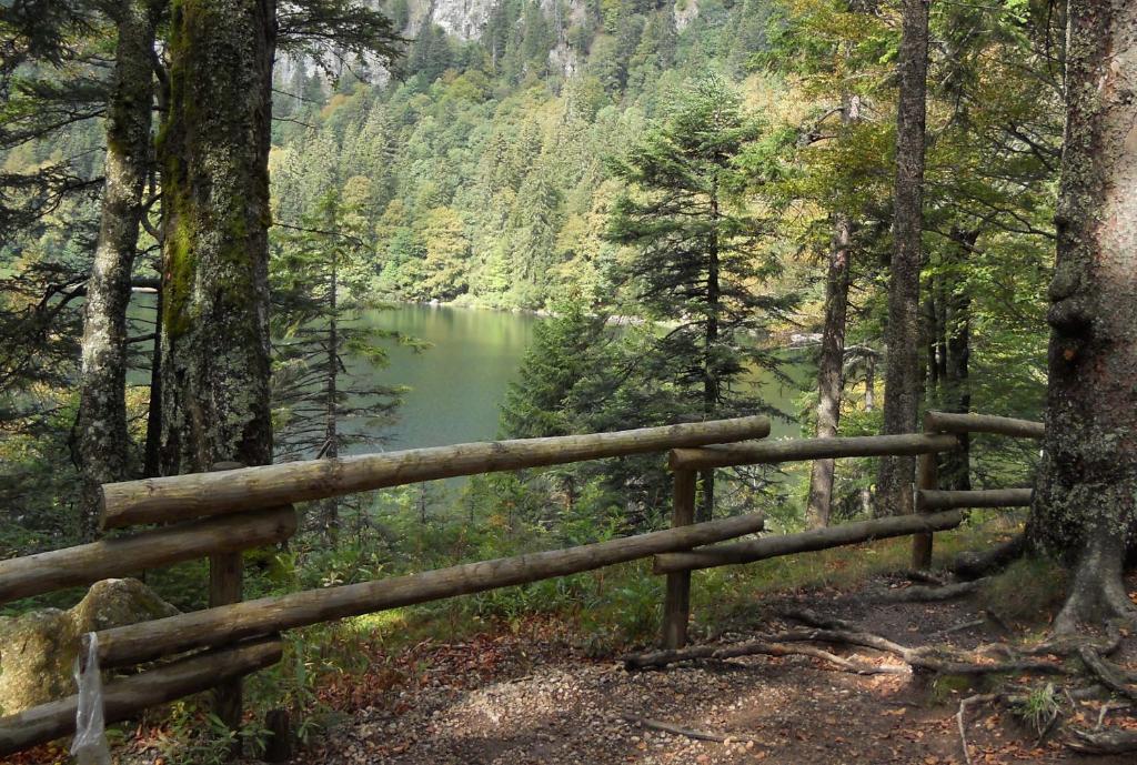 Gaestehaus Behabuehl Feldberg  Εξωτερικό φωτογραφία