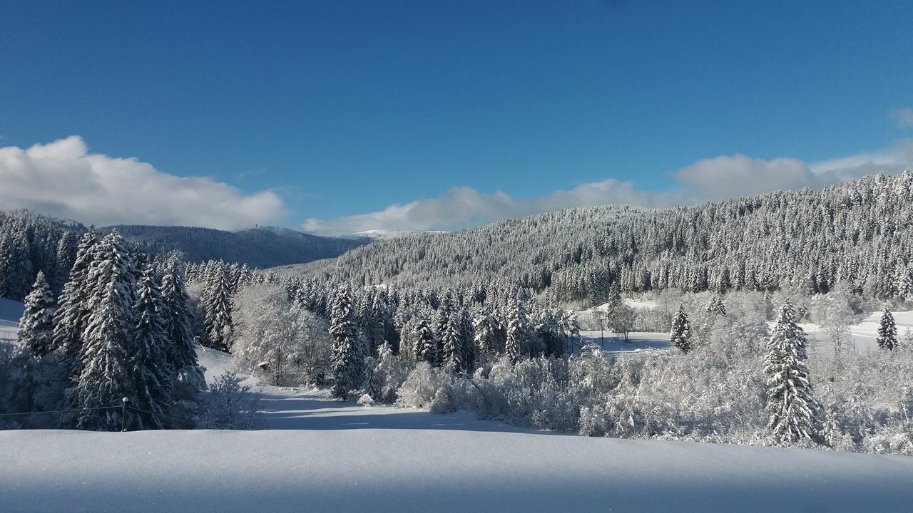 Gaestehaus Behabuehl Feldberg  Εξωτερικό φωτογραφία