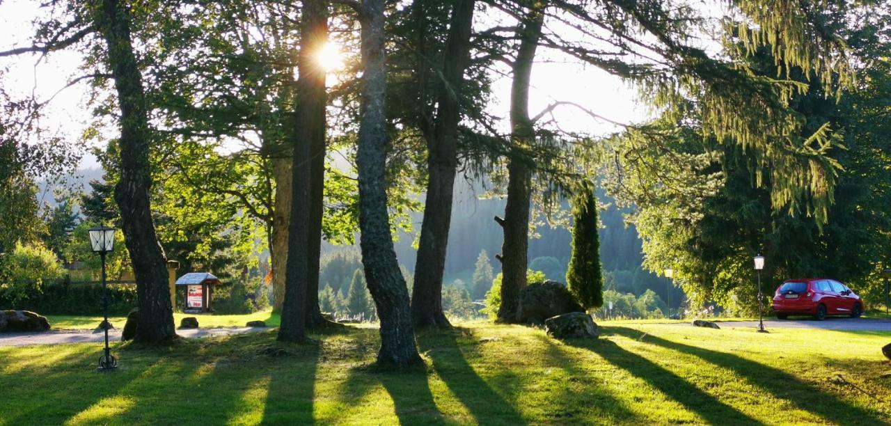 Gaestehaus Behabuehl Feldberg  Εξωτερικό φωτογραφία